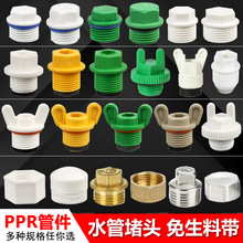 PPR��z���^ pprԇ�����^ ��ƤȦ�����ώ� 20 4��/6�� ��߅ �Ӻ�