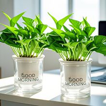 G}ֲ҃kҿ͏dGֲԾGjQS؛Դ羳l