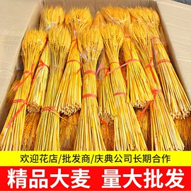 竹木藤苇干草;干花;其他园林资材