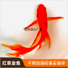 �p�~С���~�ݽ��~����С�~��ˮ�~��ˮ�~��С���\����ˮ���~���~