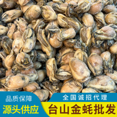 台山金カキ干し生干しカキ台山生カキカキカキカキ海製品乾燥カキ卸売り
