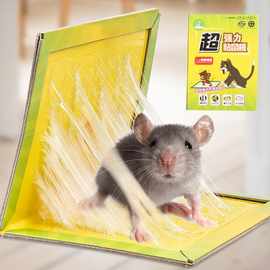 捕鼠粘鼠板  家用老鼠笼沾胶夹药抓捉大老鼠贴驱粘合力强量大优惠