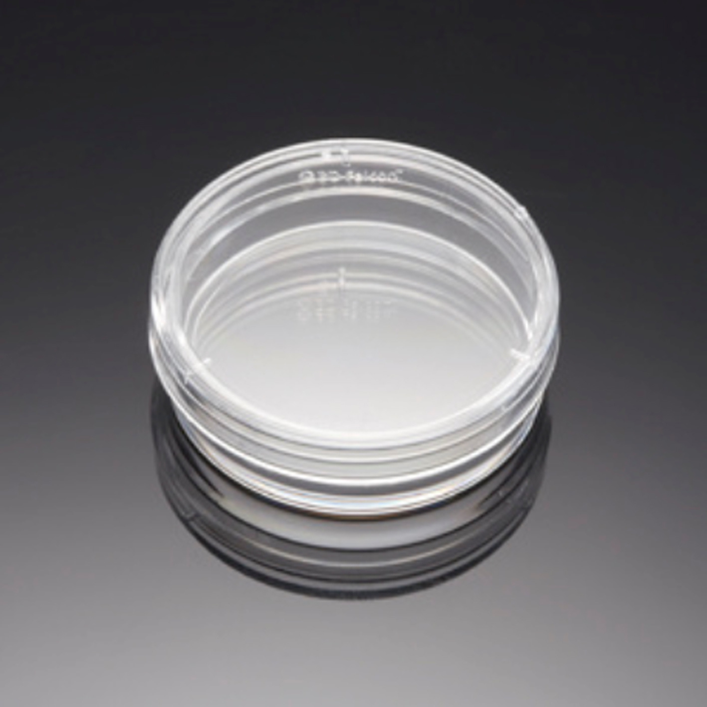 Falcon 353001 35x10mm培养皿，聚苯乙烯，标准TC，带盖，已灭菌