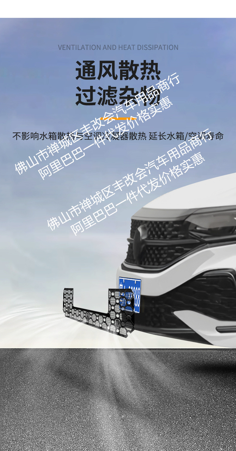 Suitable for Volkswagen Passat Starry Sky Series Car Insect-Proof Net Front Grille Special Modified Decorative Strip Accessories