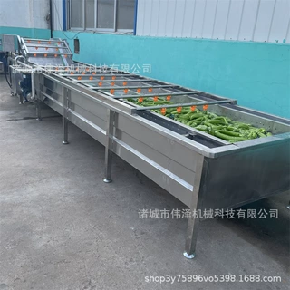果蔬清洗机 多功能高压气泡清洗机 全自动洗菜机蔬菜加工生产线