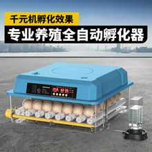 小鸡孵化器小型家用孵化机全自动智能家用型孵蛋器鸡苗水床孵化箱