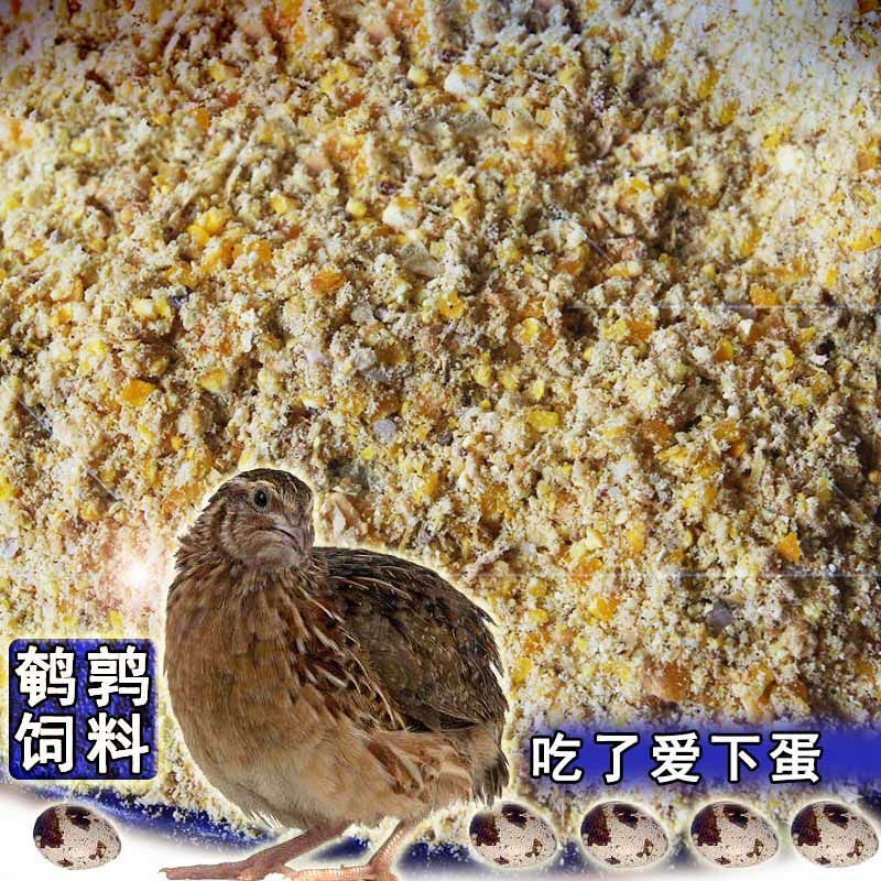 rutin Chicken feed quail feed quail feed quail Dedicated Hormone Antibiotic quail feed