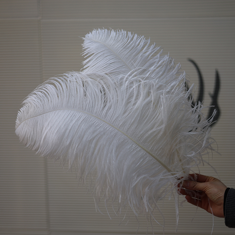 Plumas de avestruz bodas blancas de avestruz guía de plumas accesorios de fotos adornos rojo rosado en línea grandes plumas decoración