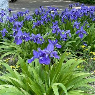 �Sβ����ͥԺ�G�����̻�����ľ������С�^�e���@���쾰���ݾGֲ��