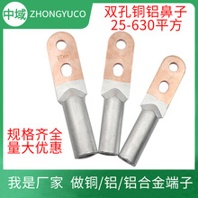 双孔铜铝过渡接线端 DTL铜铝焊接鼻子 国标 全规格 厂家批发