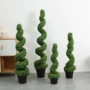 商场螺旋植物景观树