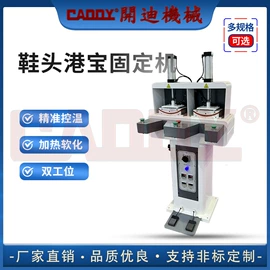 皮革加工;其他制鞋机械;缝鞋机