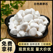 ������ɫ�Z��ʯͥԺ�·�~���쾰��ʯ����������b�ʯ��5����]