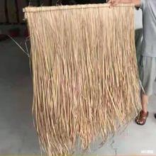 ����é������b�����ë��������é������Ȼé������é��ͤ�浾��