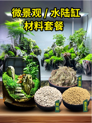 苔の風景材料マイクロ風景 diy 材料パッケージ創造的な生態ボトル作成材料水陸タンク造園材料