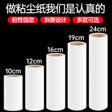 ճë����ë�������Ϊ���Qоճë�LͲ���m��10cm16cm�����·�ë