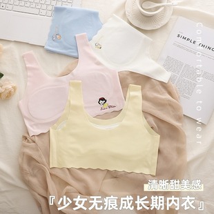Developmental Girl's Intimates, Breast-Wrapped Girl's Tube Top, Ice Silk Seamless Anti-Exposure Vest, Breathable Bra, Thin Style