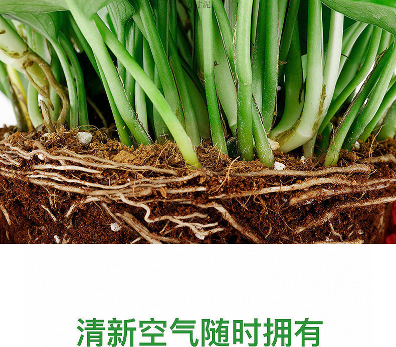 057aaab4-67c4-4707-8b96-6df78e43dbea.jpe