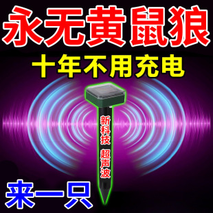 �S������s����̫��ܳ������Bֳ���B�u����S������ș����