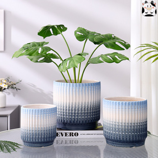 ��ɫ���W�մɻ����̖�p�ݻ����m����߼����û�ƿ�|�a�����m����