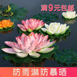 帝选假荷花花池塘漂浮水池水面造景鱼缸装饰睡莲荷叶供佛