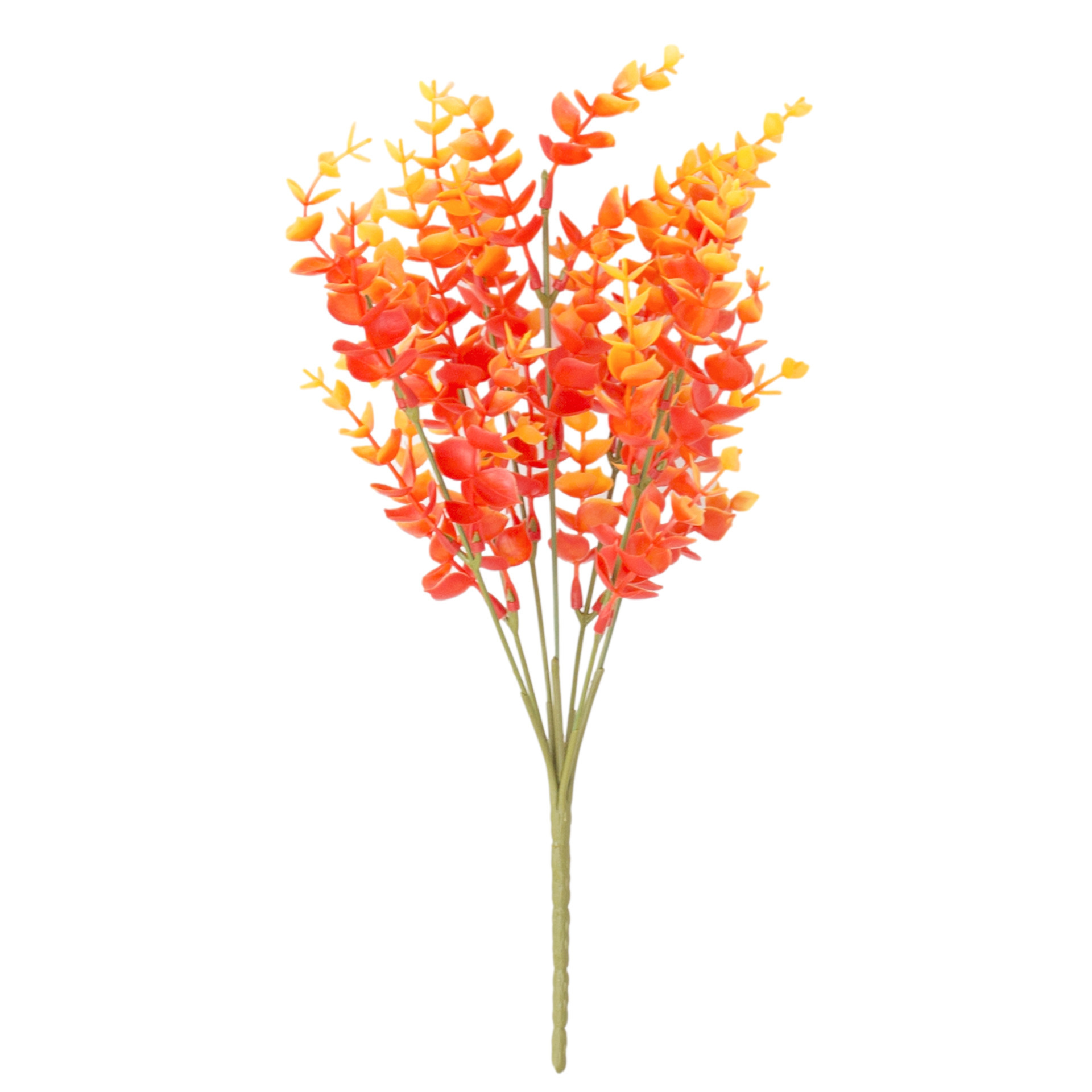 7 중형 유칼립투스 - 가을 오렌지