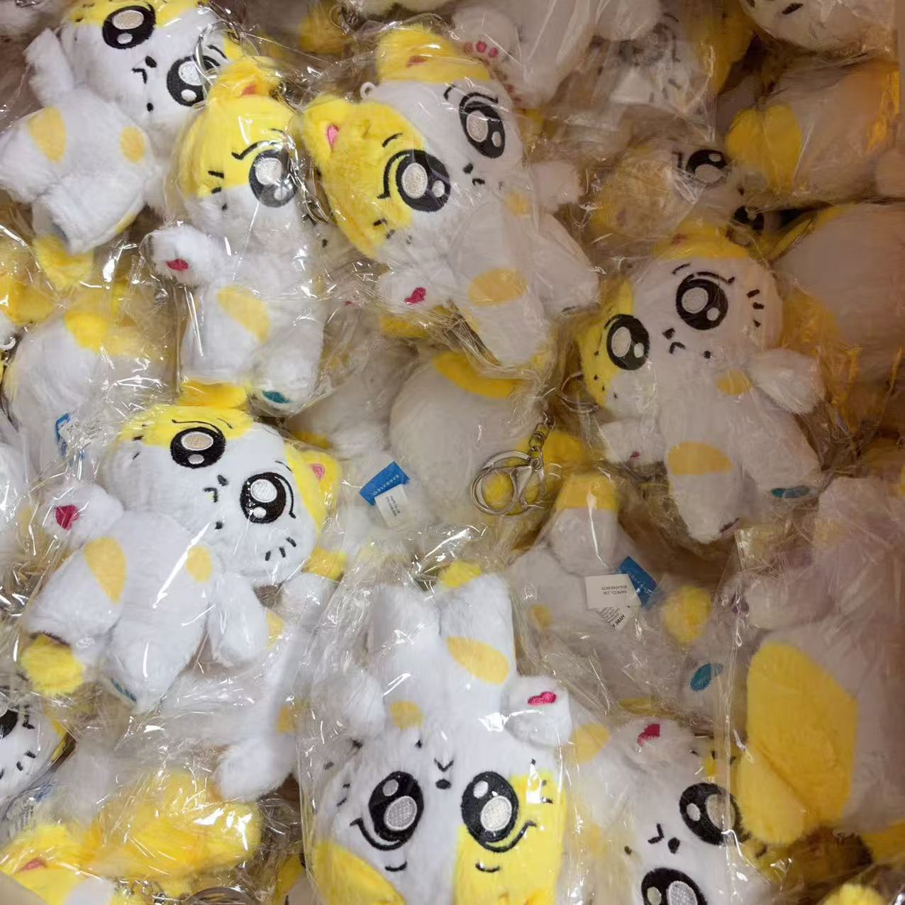 Enhypen Fuhuo Zongxing Shen Jialun Park Sung-Hoon Liang Zhenyuan Plush Toy Pendant Cute Backpack Decoration