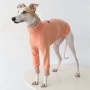 petstyle意大利跨境宠物薄绒