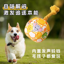 【新人立减5元】狗狗玩具耐咬解闷发声毛绒球耗体力金毛比熊小狗