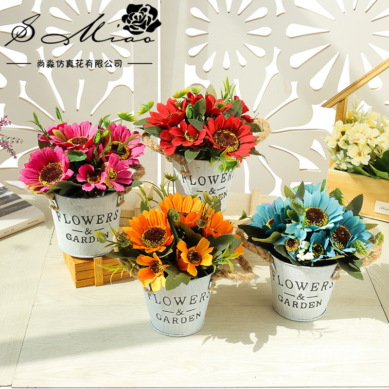 Café Sol en maceta set de 4 piezas ☆