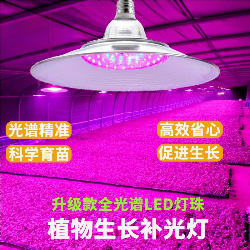 LED professional-grade plant grow light for succulents (red and blue spectrum), cherries, strawberries, seedlings, flowers, vegetables, and indoor greenhouses.