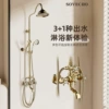 Zirconium gold plum blossom handle shower set with spray gun (high standard configuration)