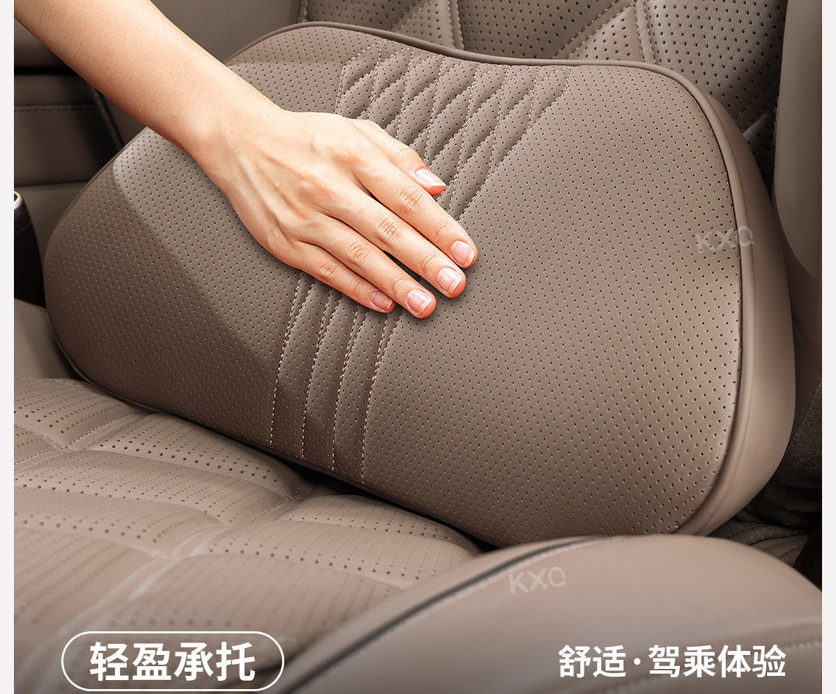 Byd Dolphin Seal Qin Plus Han Song Pro Yuan Plus Car Lumbar Support Cushion Car Seat Lumbar Pad