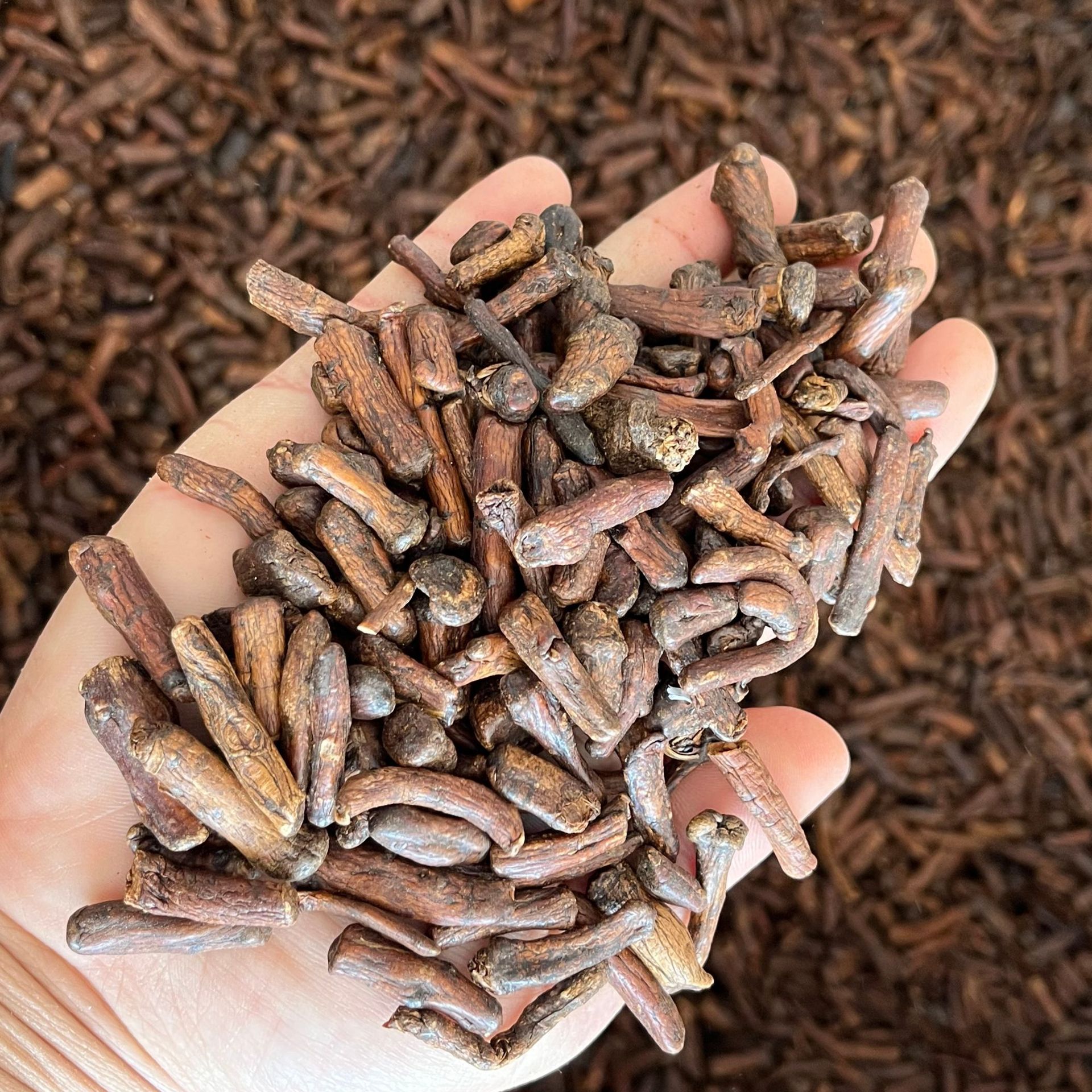 Dandelion Root (Taraxacum officinale) — Roasted Changbai Mountain Pugongying Gen Tea, 500g specifications