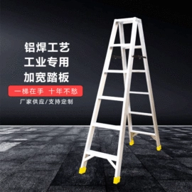 家用梯;仓储车间用梯;梯子