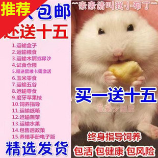 �I1��8�}����w��z�܌��ﲼ���y�����������̲����\��һ����H