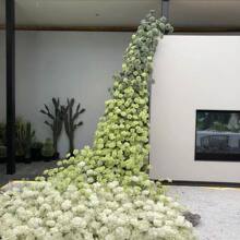 �R�����Gɫϵõ�廨������õ�廨ֱ���g�������Դ����վ��^����