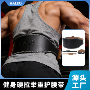 ţƤ��������Ӗ���o���� �Ӻ����Ӳ���\����Ů�]�FFitness belts
