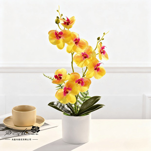 9-Flower Phalaenopsis Bonsai Artificial Flower Fashion Creative Flower Decoration Ornaments Artificial Green Plant Artificial Small Potted Plant