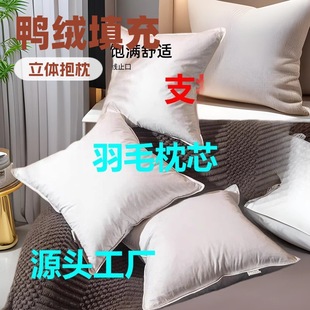 Wholesale Pillow Core Hotel Sofa Feather Cushion Lumbar Cushion Bedside Pillow Home Cervical Spine Pillow
