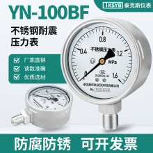 泰克斯YN100BF不锈钢压力表耐酸腐蚀耐高温304/316L不锈钢压力表