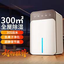 2025�¿����C�����o�����C�҃Ȼ�������������՚������