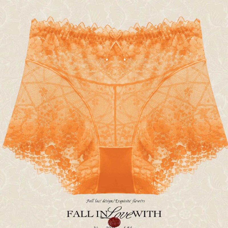 plus size sexy lace briefs ladies pure transparent mesh French lace boxer boxer boxer pants anti-light