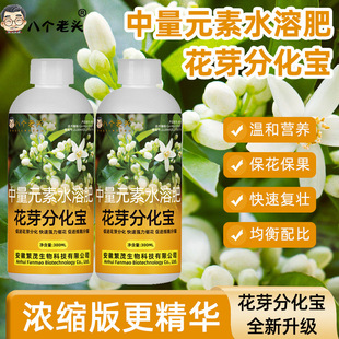 Eight Old Men Flower Bud Differentiation Treasure Melon Fruit Tree Promotes Flower Bud Differentiation, Preserves Flowers and Fruits, Increases Yield and Income, Foliar Fertilizer
