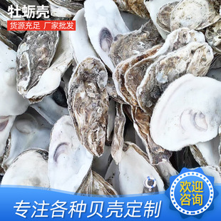 ��򺚤�V���~���^�V����ĵϠ����Ȼ��Ϡ���b��~�������מV��ؐ