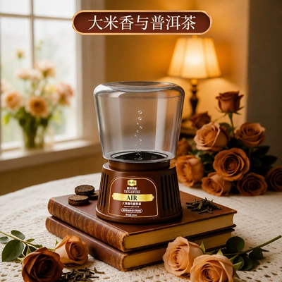 Removal Car Perfume, Car Perfume Aromatherapy - rice-fragrance-and-puer-tea-250ml-color-box