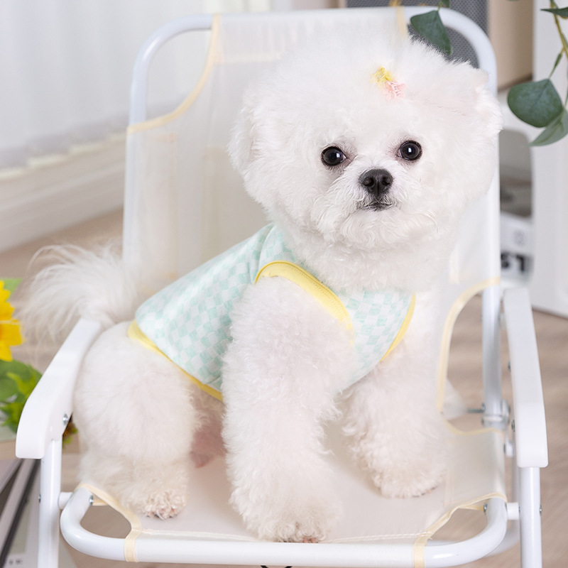 Primavera y verano Puppy Delgado transpirable contraste de color de tablero de chessboard Plaid chaleco gato Chaleco de dos patas ropa de peluche para mascotas