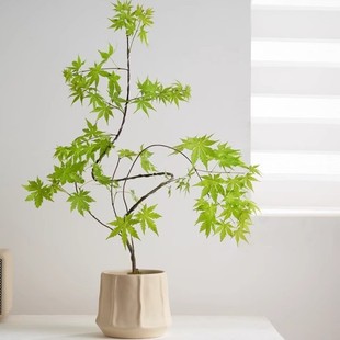 ��Ȫ�����Ժ��B���W��ʽ�U�������辰�k���҃ȿ͏d�ļ��Gֲ��[��