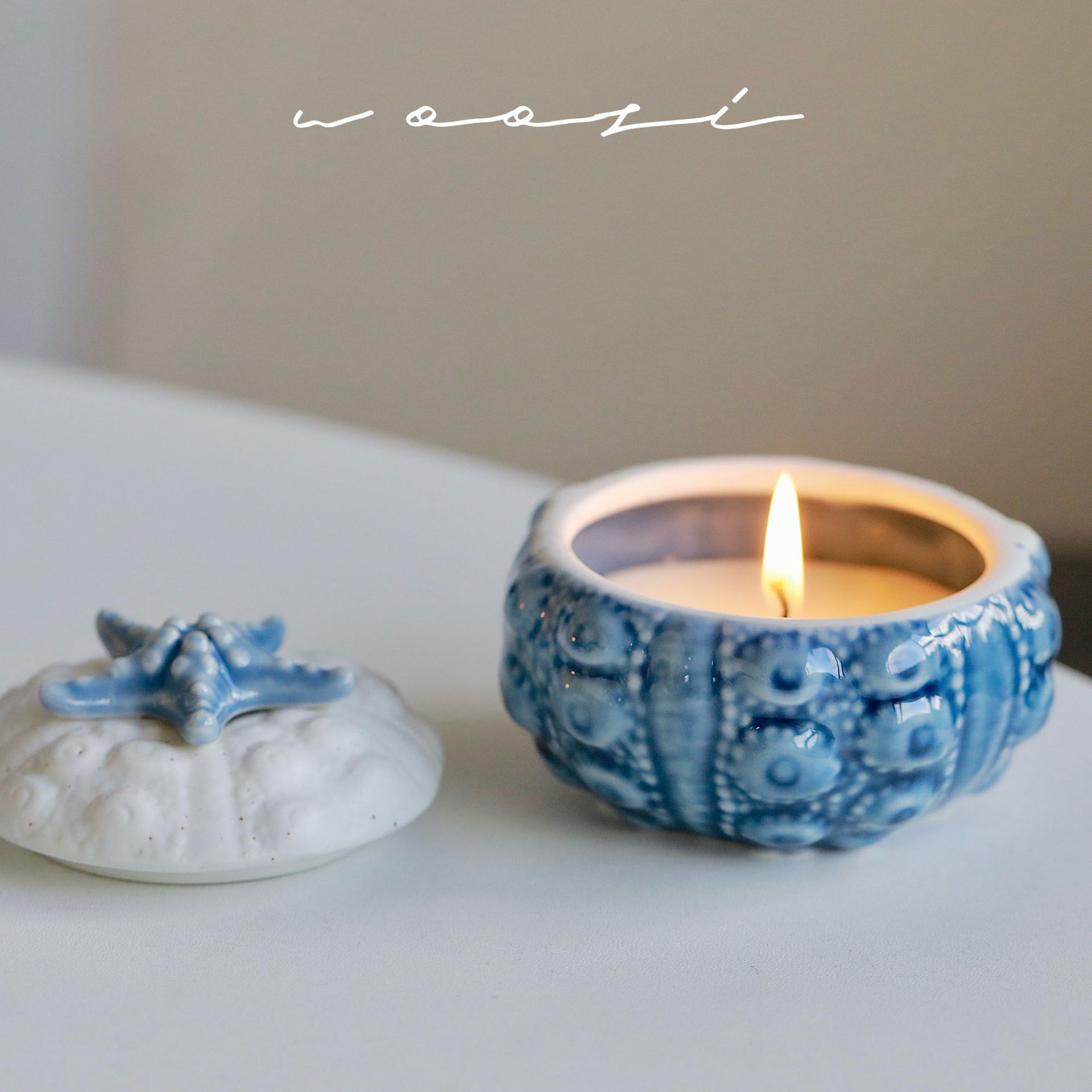 Vela aromática artesanal de cera de soja em forma de concha_voghion.com