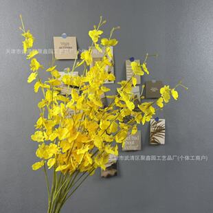 ���滨5�������m��Ʒ�|�Ҿ��b������m����ӭ����c�羳���l
